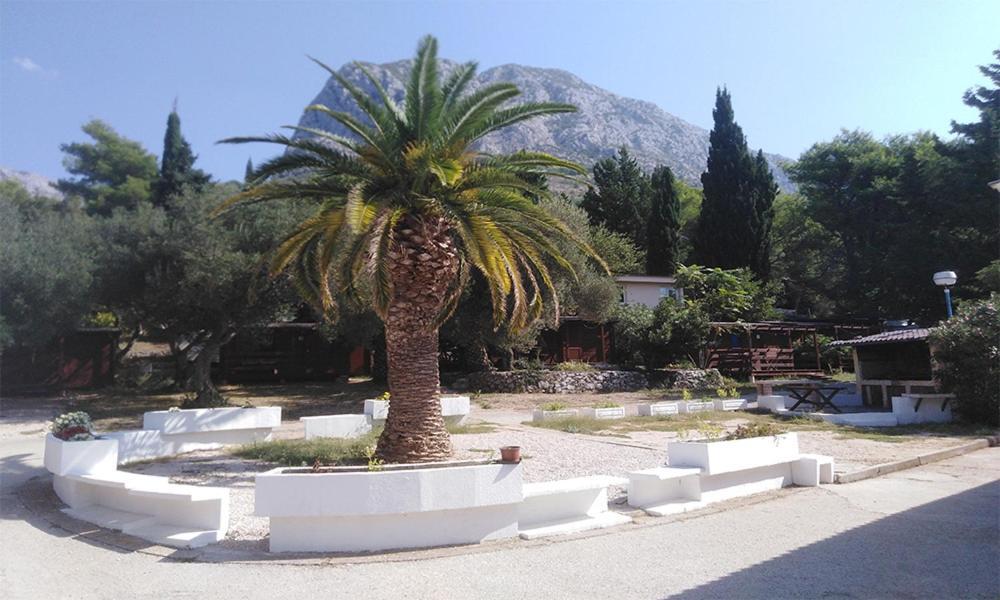Resort Dalmacija Zaostrog Exteriör bild