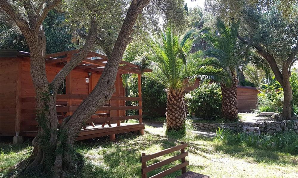 Resort Dalmacija Zaostrog Exteriör bild